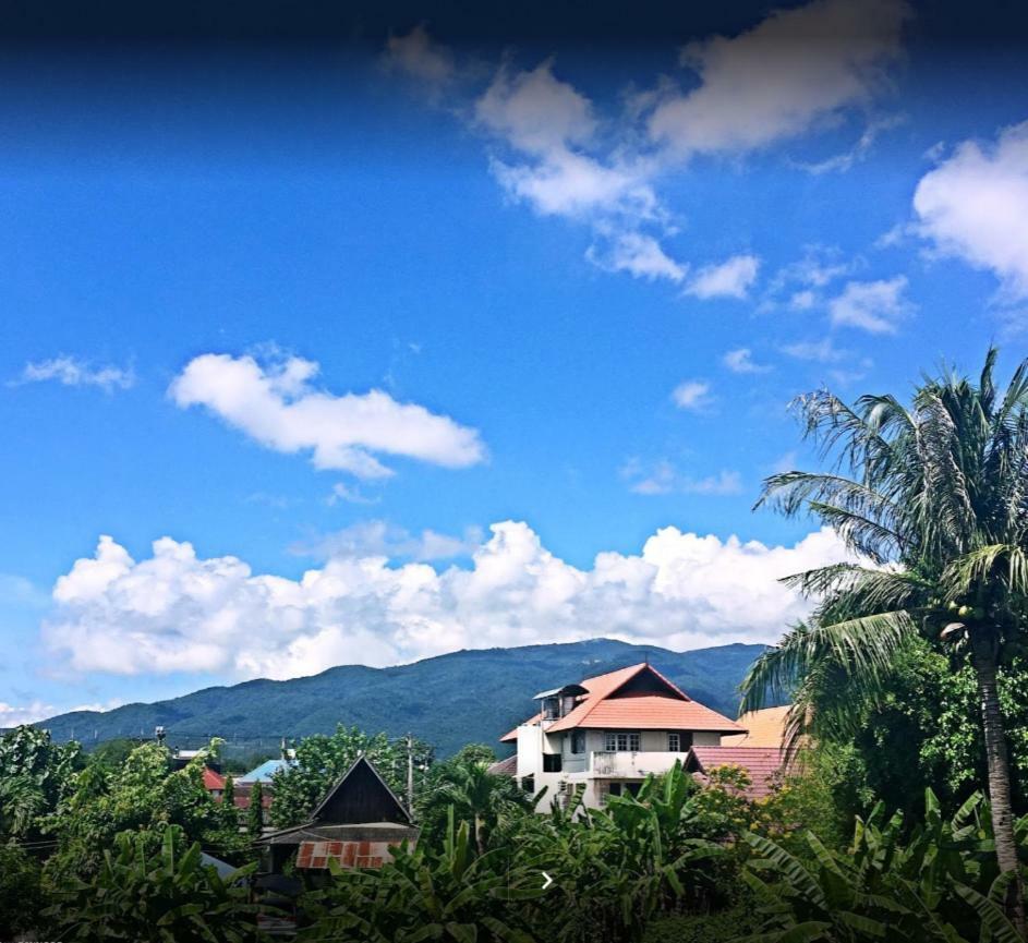 Blue Moon House - A Budget For Easy Travellers Hostel Chiang Mai